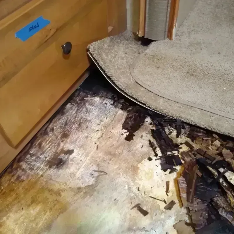 Wood Floor Water Damage in Tangerine, FL